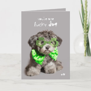 Cartão St Patricks Day Lucky Dog