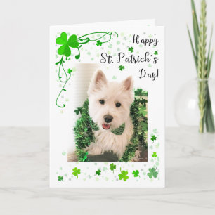 Cartão St. Patrick's Day Westie Good Health And Happiness