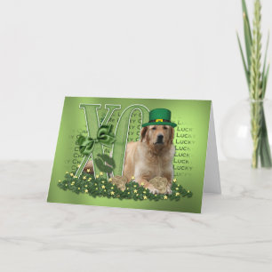 Cartão St Patricks - Me Lucky Charm - Golden Retriever