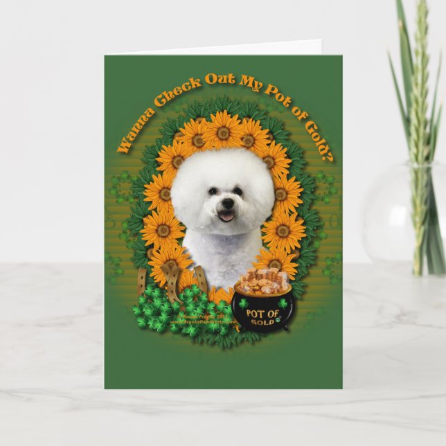 Cartão St Patricks - Pot of Gold - Bichon Frise (Frente)