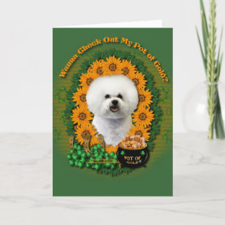 Cartão St Patricks - Pot of Gold - Bichon Frise