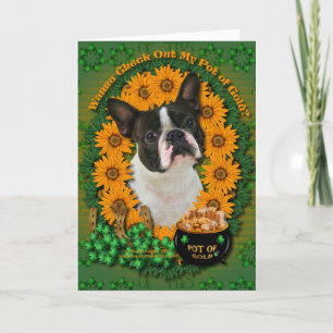 Cartão St Patricks - Pot of Gold - Boston Terrier