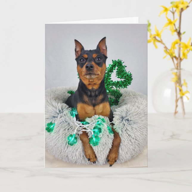 Cartão St Pats MinPin (Flor Amarela)