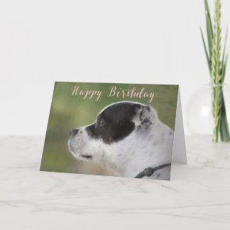 Cartão Staffie Puppy Birthday Card