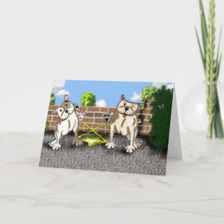 Cartão STAFFIE SMILES - X factor - greetings card