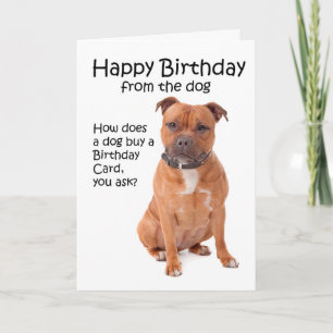 Cartão Staffordshire Bull Terrier Birthday Card