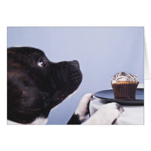Cartão Staffordshire Bull Terrier & Cake Card