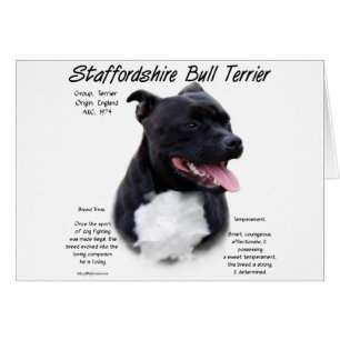 Cartão Staffordshire Bull Terrier History Design