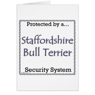 Cartão Staffordshire Bull Terrier Security System