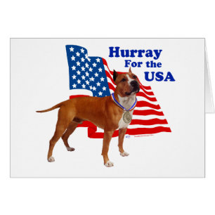 Cartão Staffordshire Terrier Americano EUA