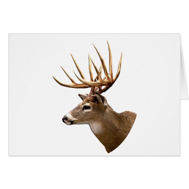 Cartão Stag Buck Deer (Frente Horizontal)