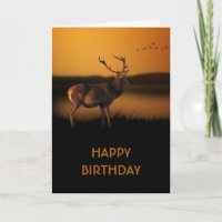 Stag Sunrise Misty Morning Deer Personalizado