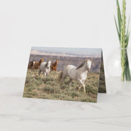 Cartão Stallion Leads the Way Wild Horse Greeting Card