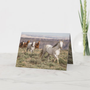 Cartão Stallion Leads the Way Wild Horse Greeting Card
