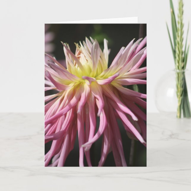 Cartão Standard, 12.7 cm x 17.8 cm Folded Greeting Card (Frente)