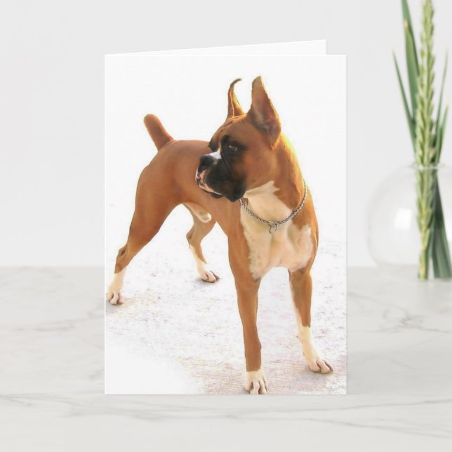 Cartão Standing fawn boxer greeting card (Frente)