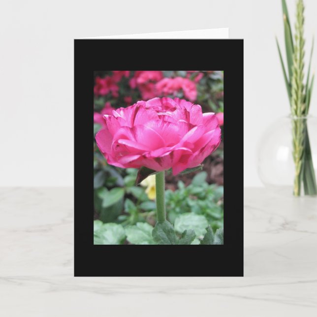 Cartão Standing Tall (Frente)