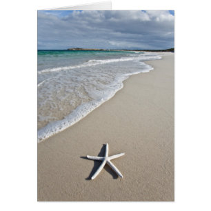Cartão Starfish Em Uma Praia Remota