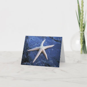 Cartão Starfish No Lava Rock