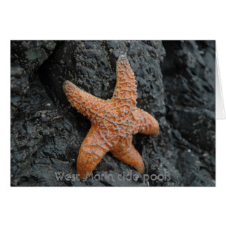 Cartão Starfish, piscinas da maré Ocidental