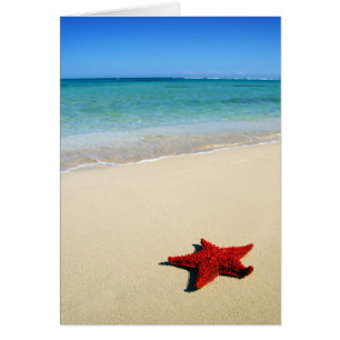 Cartão Starfish Vermelho Na Praia Branca Da Areia