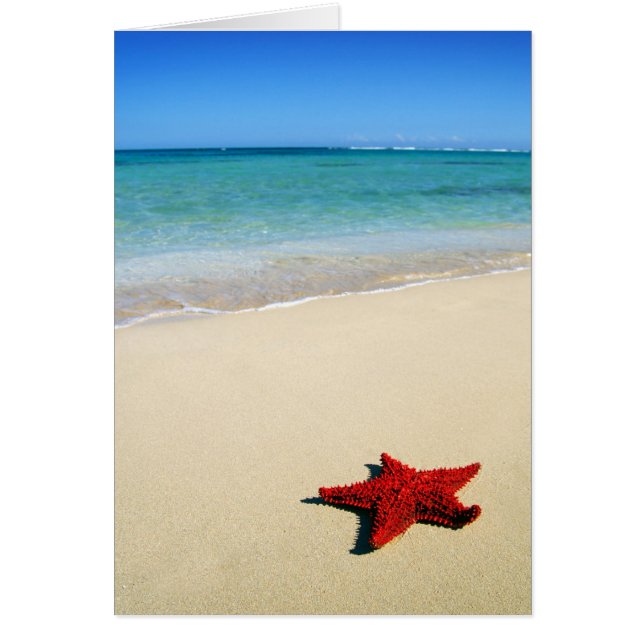 Cartão Starfish Vermelho Na Praia Branca Da Areia (Frente)