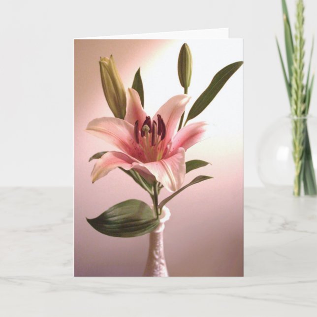 Cartão Stargazer Greeting Card (Frente)