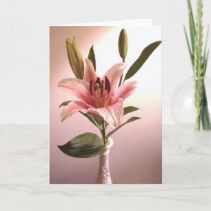 Cartão Stargazer Greeting Card