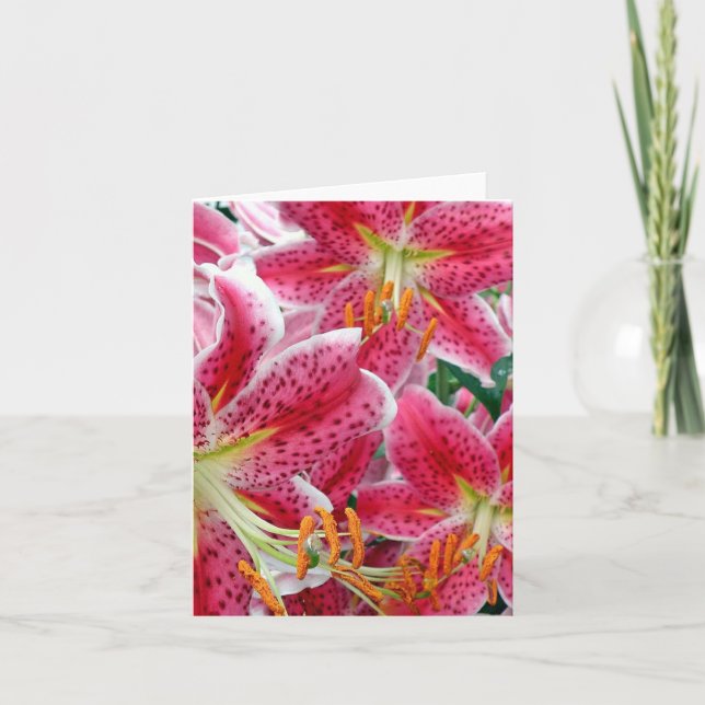 Cartão Stargazer Lilies Note Cards (Frente)