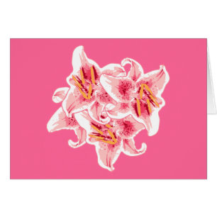 Cartão Stargazer Lily