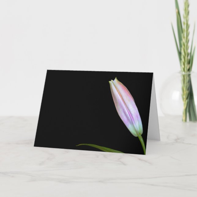 Cartão Stargazer Lily Bud (Frente)