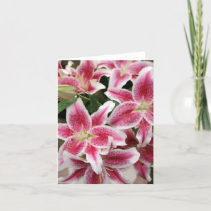 Cartão Stargazer Lily Note - Vazio