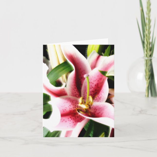 Cartão Stargazer Lily Notecard (Frente)