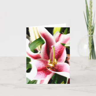 Cartão Stargazer Lily Notecard