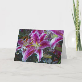Cartão Stargazer Lírios Rosa e Magenta