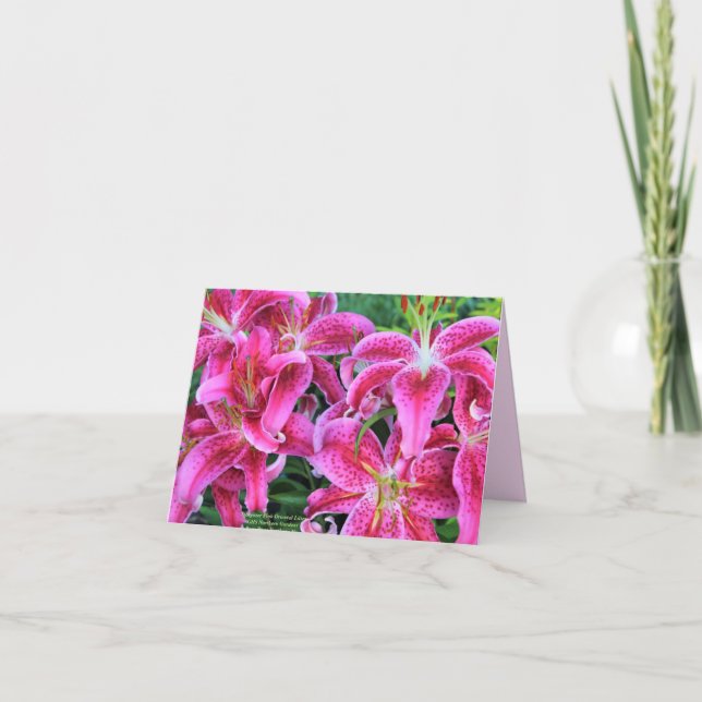 Cartão Stargazer Pink Oriental Lilies Note Cards (Frente)