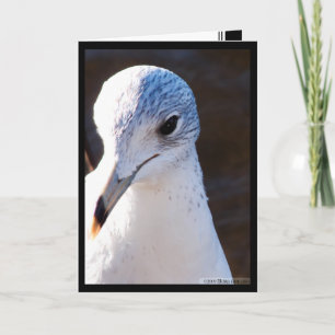 Cartão Stark Contrast