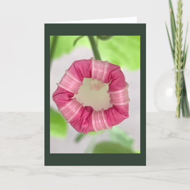 Cartão Starlight Mint Morning Glory Blank (Frente)