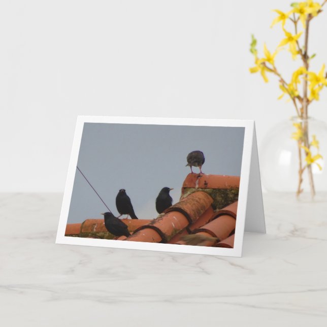 Cartão Starling Birds no Rooftop Card (Flor Amarela)
