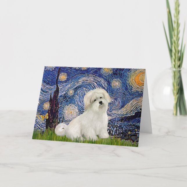 Cartão Starry Night - Coton de Tulear 7 (Frente)