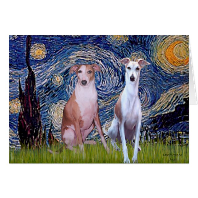 Cartão Starry Night - Dois Bippetes (Frente Horizontal)