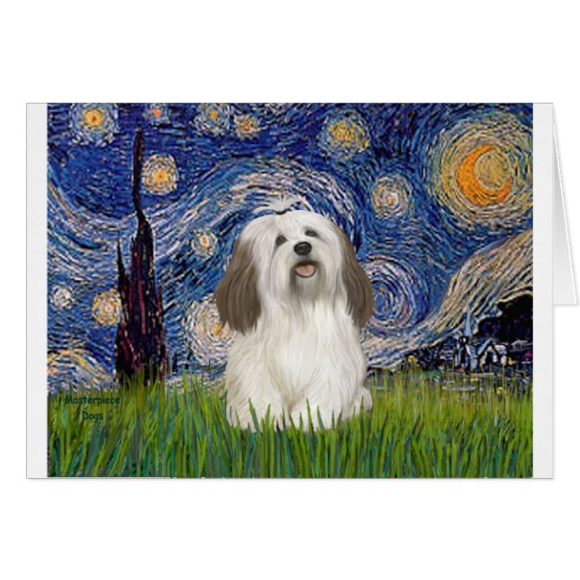 Cartão Starry Night - Havanese ( nº 1) (Frente Horizontal)