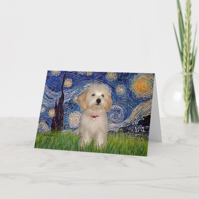 Cartão Starry Night - Havanese Puppy (Frente)