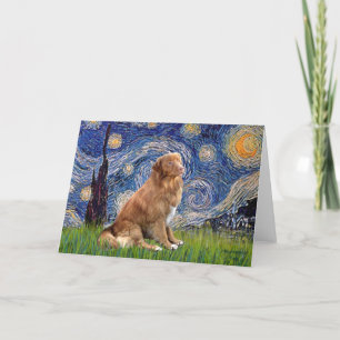 Cartão Starry Night - Nova Scotia Duck Rolling Retriever