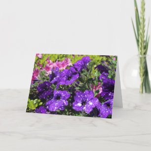 Cartão Starry Night Petunia flower greeting card