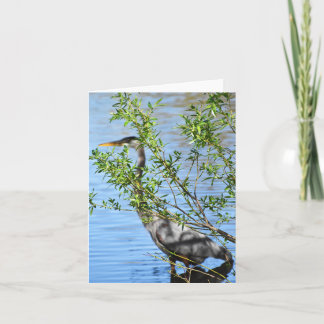 Cartão Stealthy (Great Blue Heron #2) - Blank Note Card