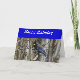 Cartão Steller's Jay Birthday Card
