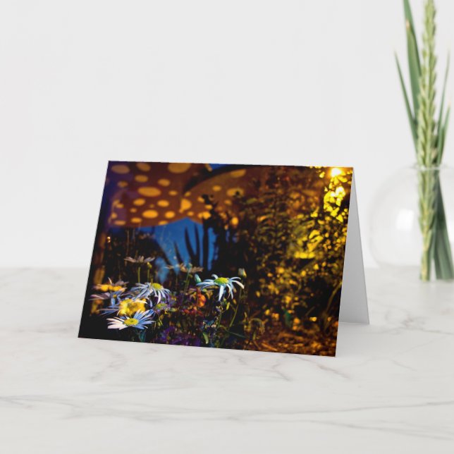 Cartão still life in situ (Frente)