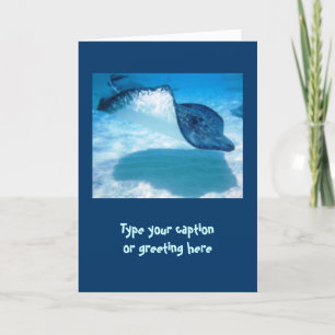 Cartão Stingray Note Cards