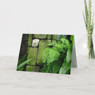 Cartão Stone Garden: Aristotle - Greeting Card